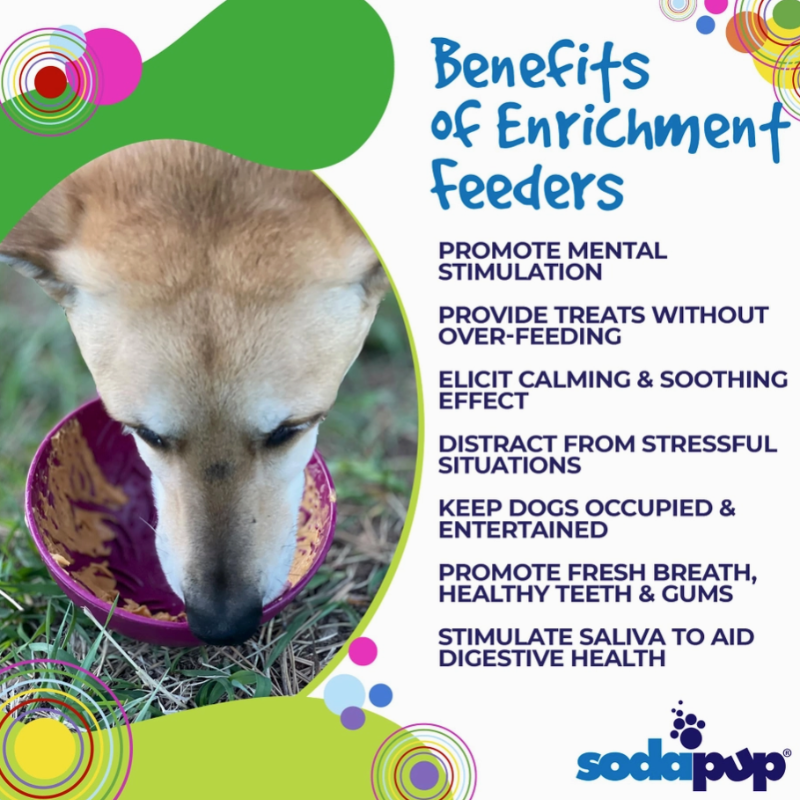 Garden of Ealin'Tipsy Bowl - Bol de léchage pour chiens et chats - Sodapup