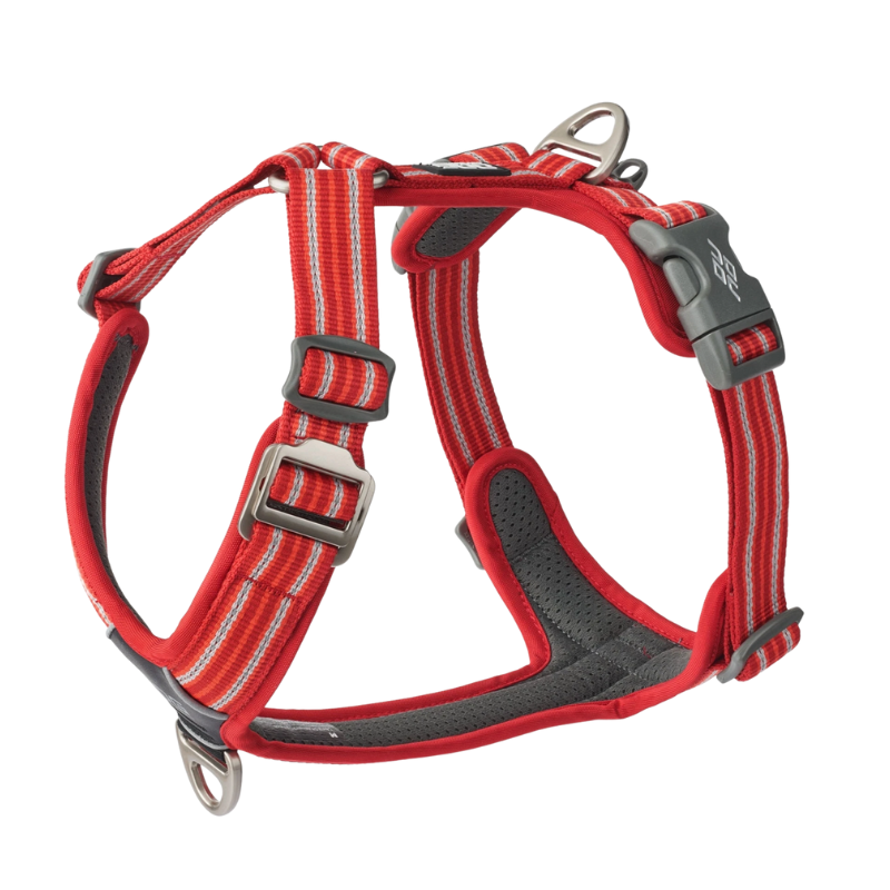 Harnais Comfort Walk Hair - DOG COPENHAGEN