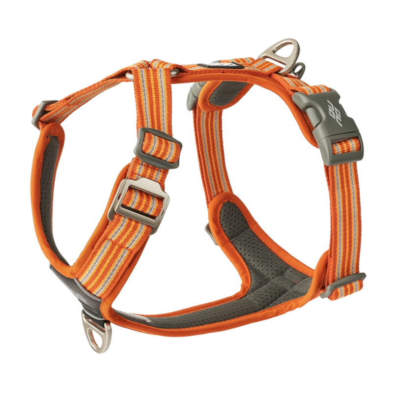 Harnais Comfort Walk Hair - DOG COPENHAGEN