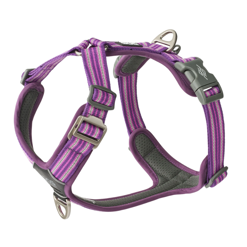 Harnais Comfort Walk Hair - DOG COPENHAGEN
