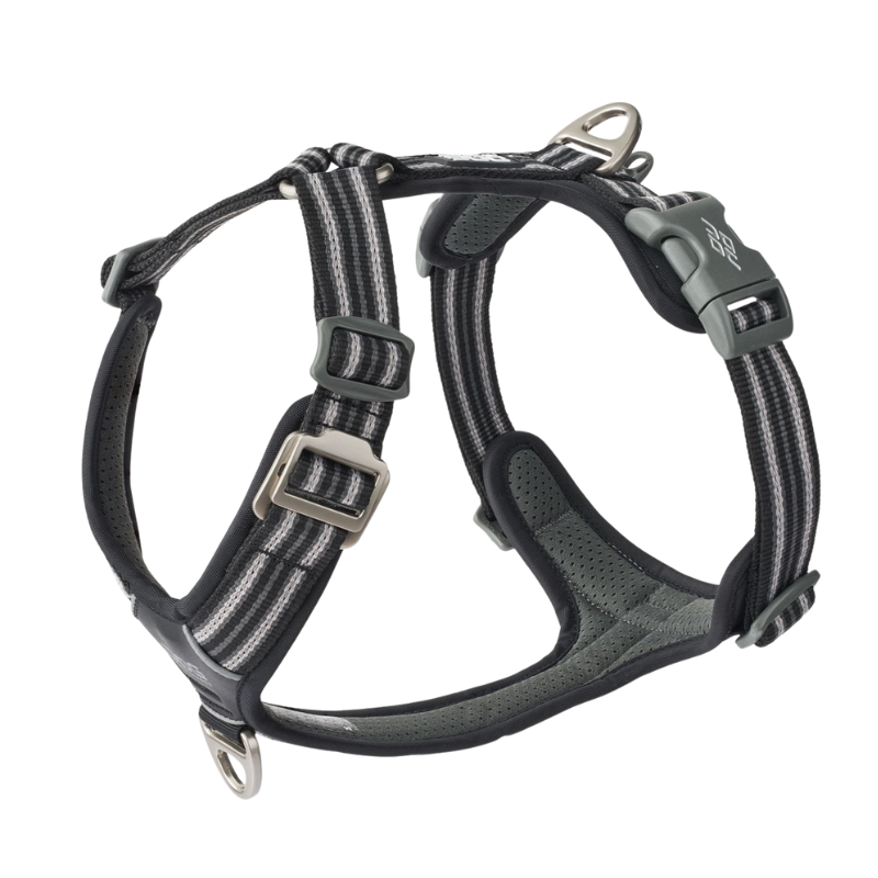 Harnais Comfort Walk Hair - DOG COPENHAGEN