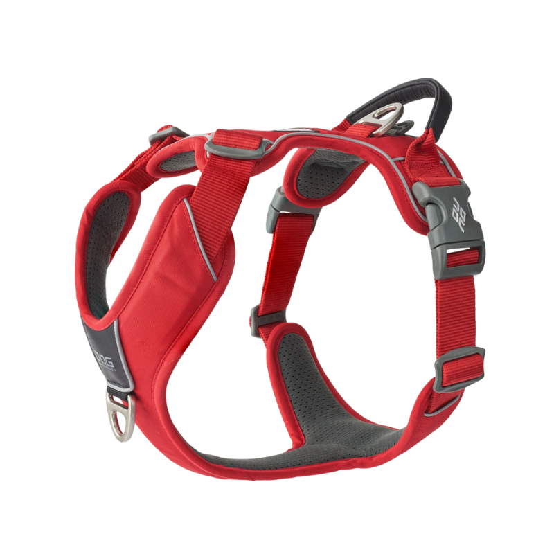 Harnais Comfort Walk Pro - DOG COPENHAGEN