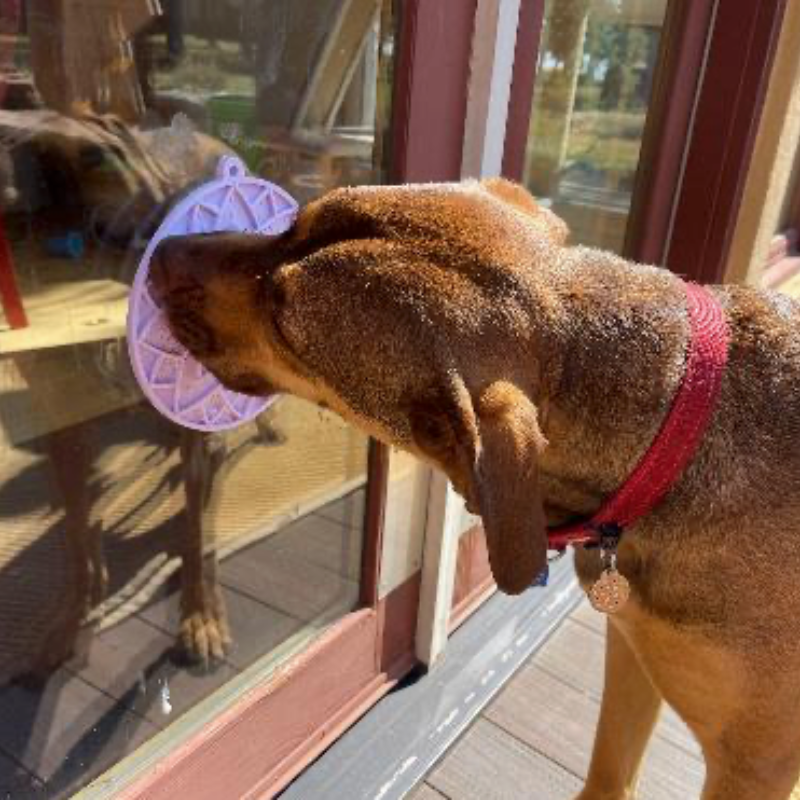 Tapis de Léchage Lotus pour chiens - Sodapup
