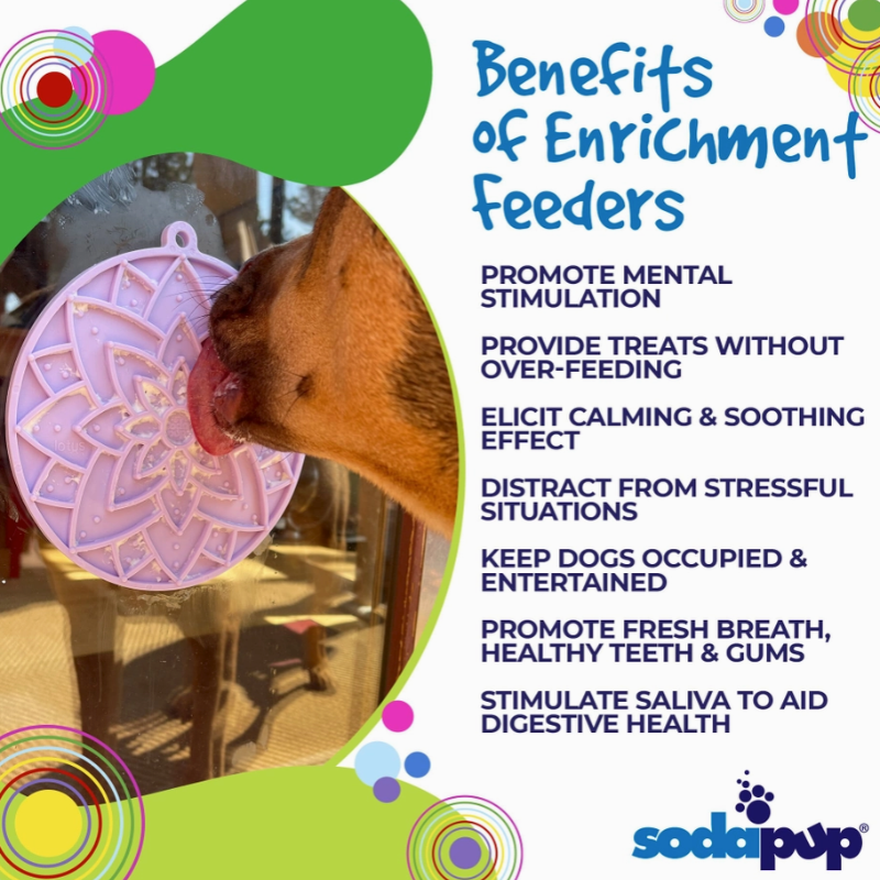 Tapis de Léchage Lotus pour chiens - Sodapup