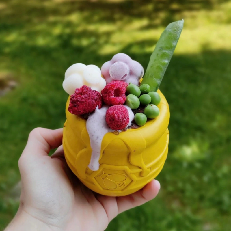 Le Pot de Miel - Jouet à garnir pour chiens Sodapup