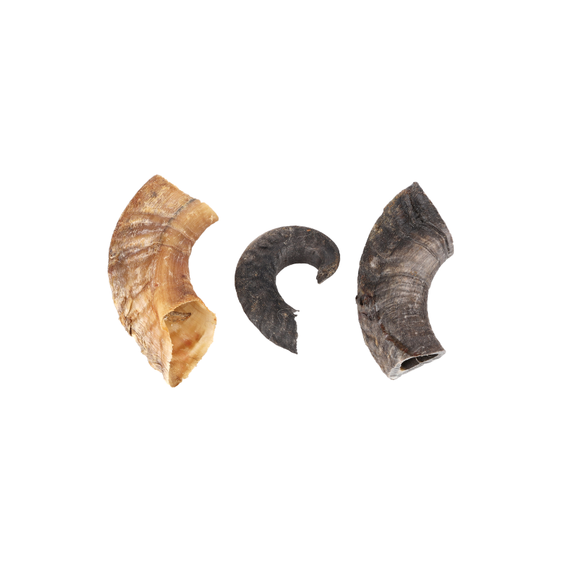 Corne de mouton 200g - friandise de mastication pour chiens