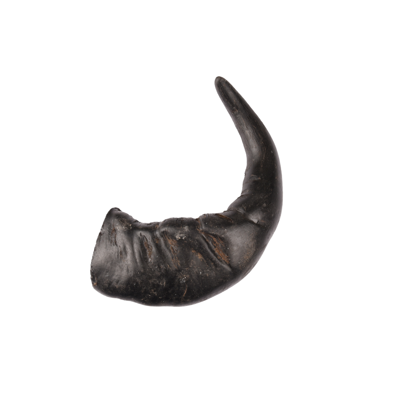 Corne de Buffle Large - friandise de mastication pour chiens