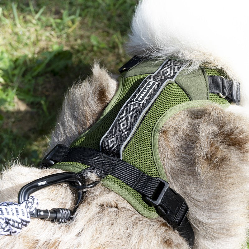 Harnais WILDERDOG