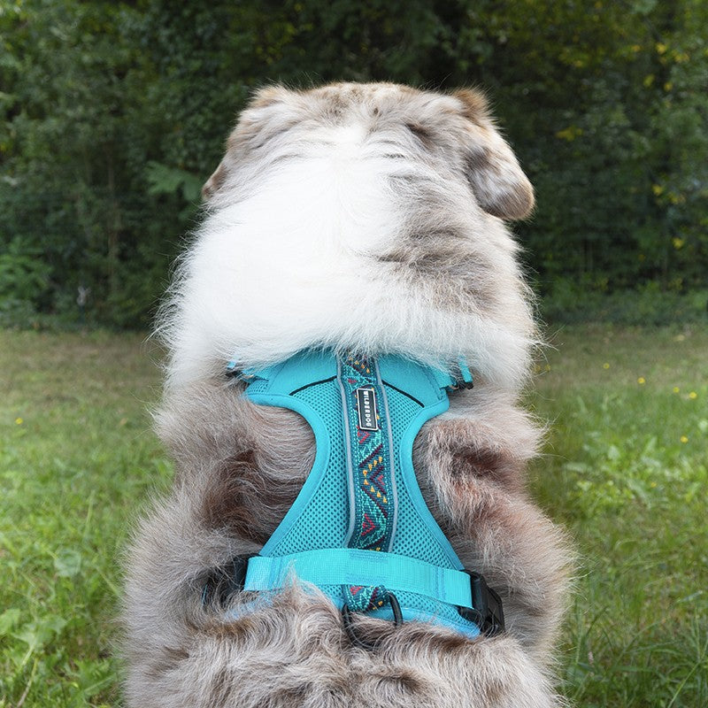 Harnais WILDERDOG