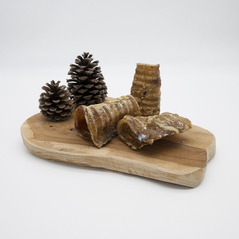 Trachée de boeuf 15cm - friandise de mastication pour chiens