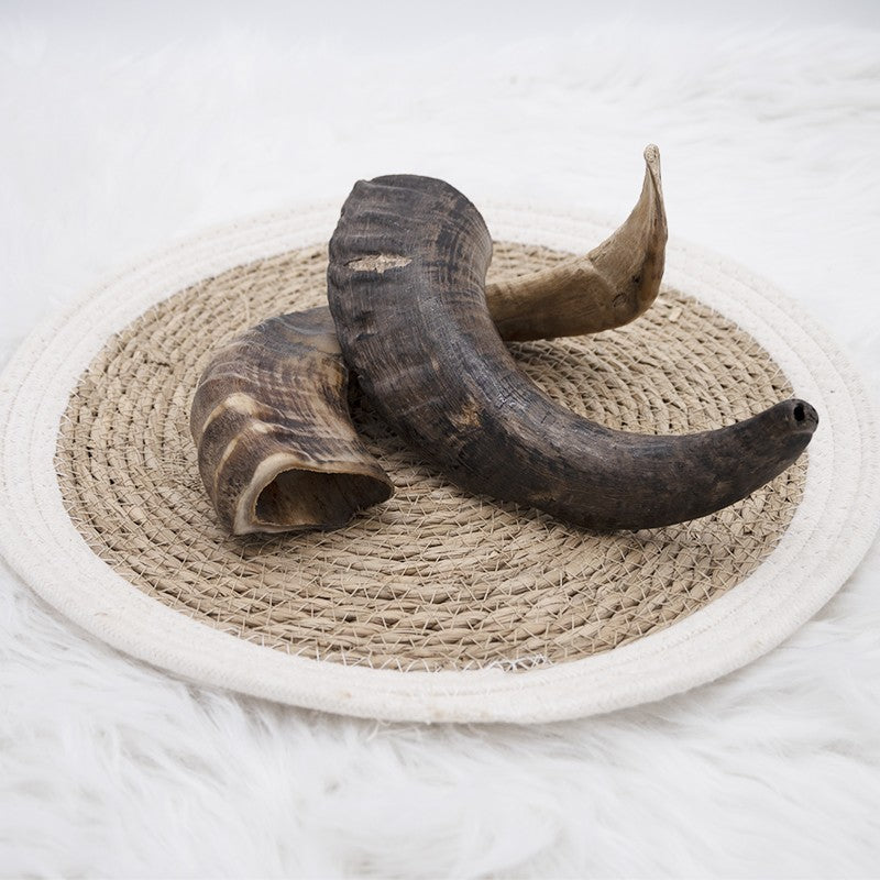 Corne de mouton - friandise de mastication pour chiens