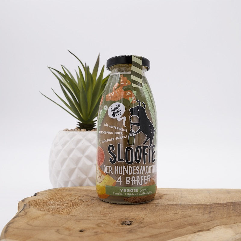 Smoothie Amoureux des légumes pour chiens et chats - Sloofie