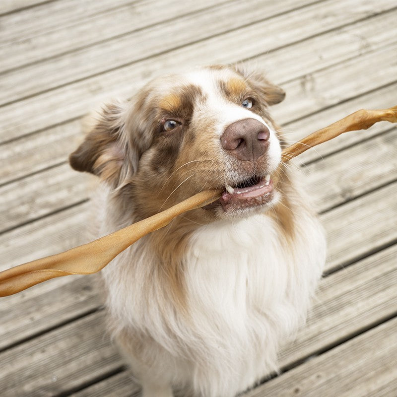Peau de chevreuil 50 cm - friandise de mastication pour chiens