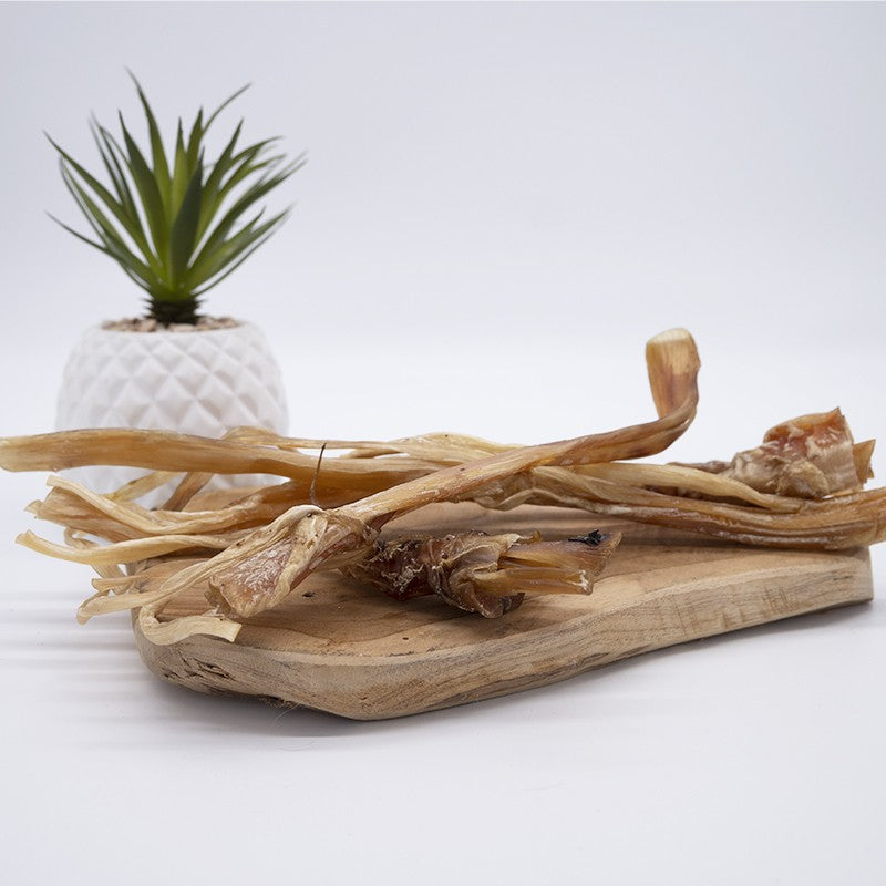 Tendons d'autruche - friandise de mastication pour chiens