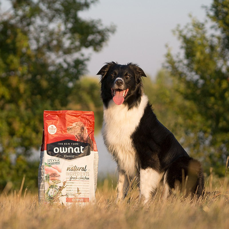 OWNAT - Classic Complet pour chiens adultes