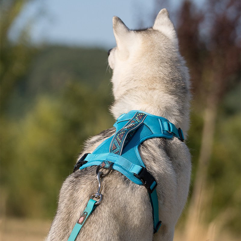 Harnais WILDERDOG