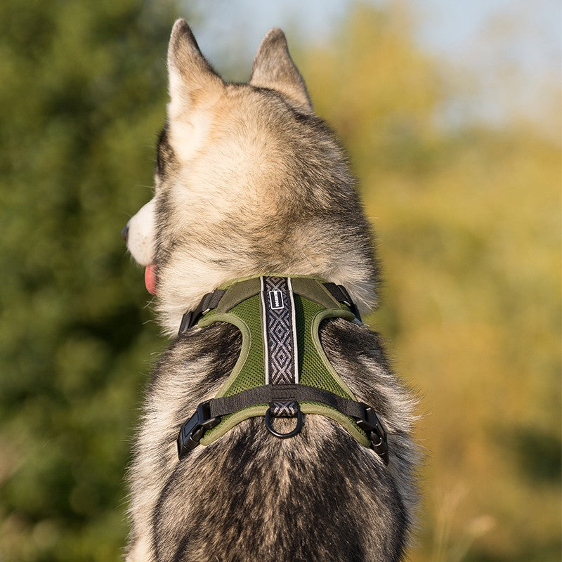 Harnais WILDERDOG